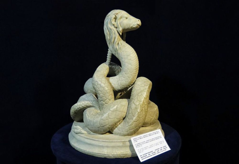 Șarpele Glykon părăsește  Muzeul din Constanța, cu destinația Madrid