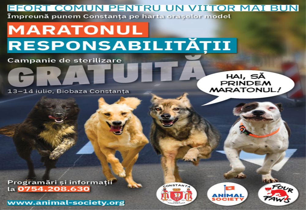 Maratonul Responsabilității. Sterilizare gratuită a animalelor de rasă comună