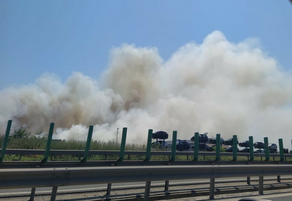 VIDEO Incendiu violent de vegetație în Agigea