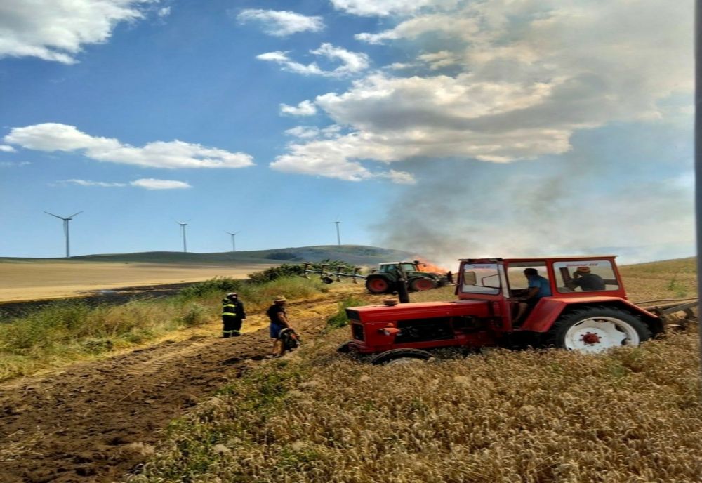 VIDEO|  Lanuri de grâu în flăcări 