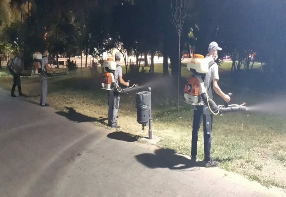 Primăria Constanța în lupta cu țânțarii