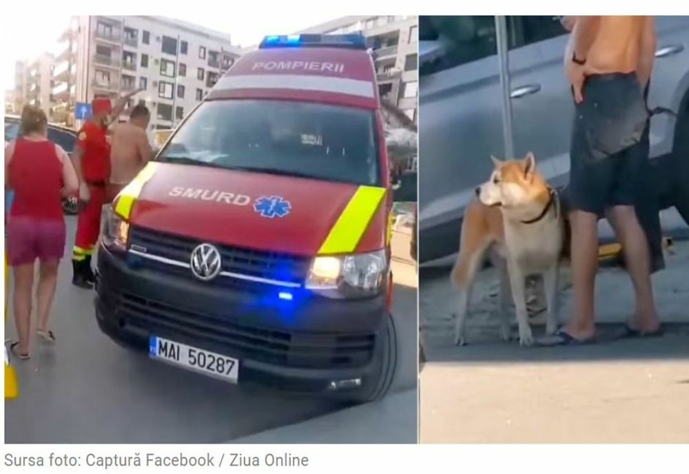 Copil de 3 ani mușcat de față de un câine, chiar în mare!