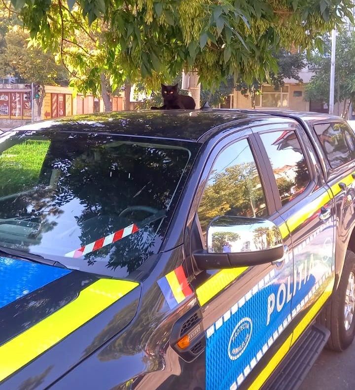 Zi cu ghinion pentru un bărbat de 37  de ani din Năvodari. De ce s-a ales cu dosar penal