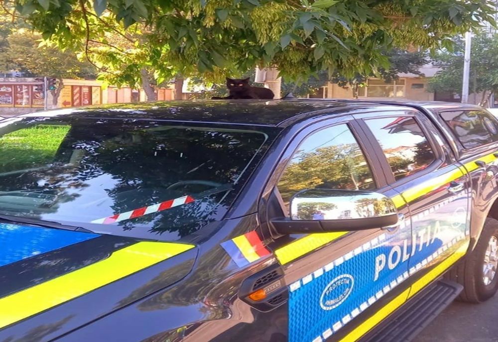 Zi cu ghinion pentru un bărbat din Pantelimon. De ce s-a ales cu dosar penal