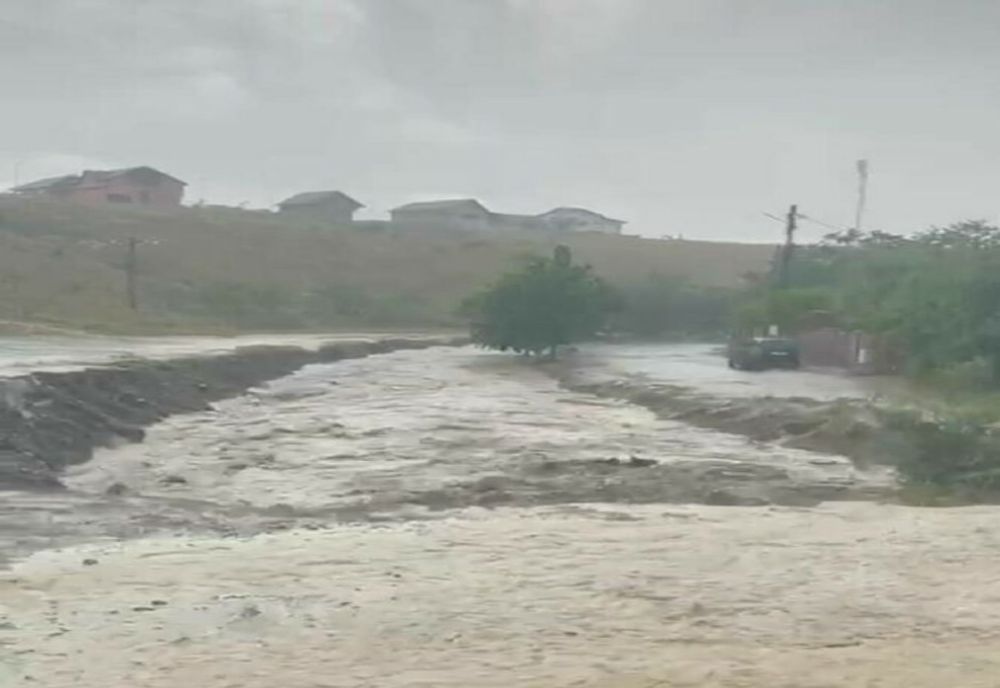 Cod portocaliu în Constanța. Gospodării inundate, copaci și stâlpi căzuți