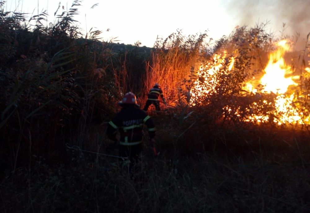 VIDEO Incendiu violent în zona Zaghen. Focul a fost pus intenționat