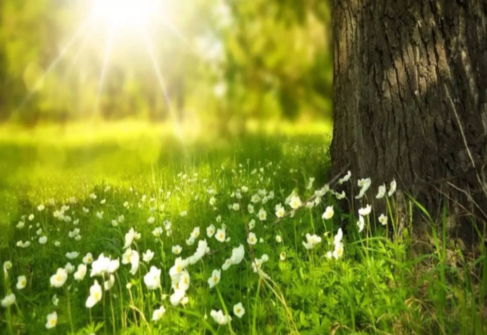 Vremea în România, sâmbătă, 6 august