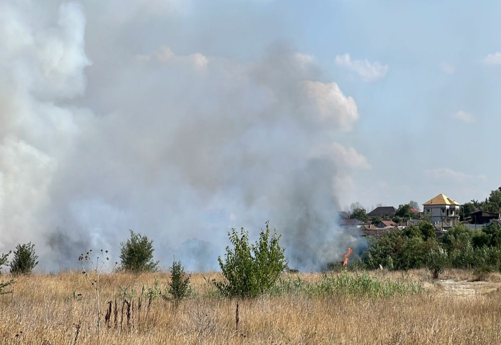 VIDEO Incendiu violent la Medgidia. 50 de hectare de vegetație uscată făcute scrum