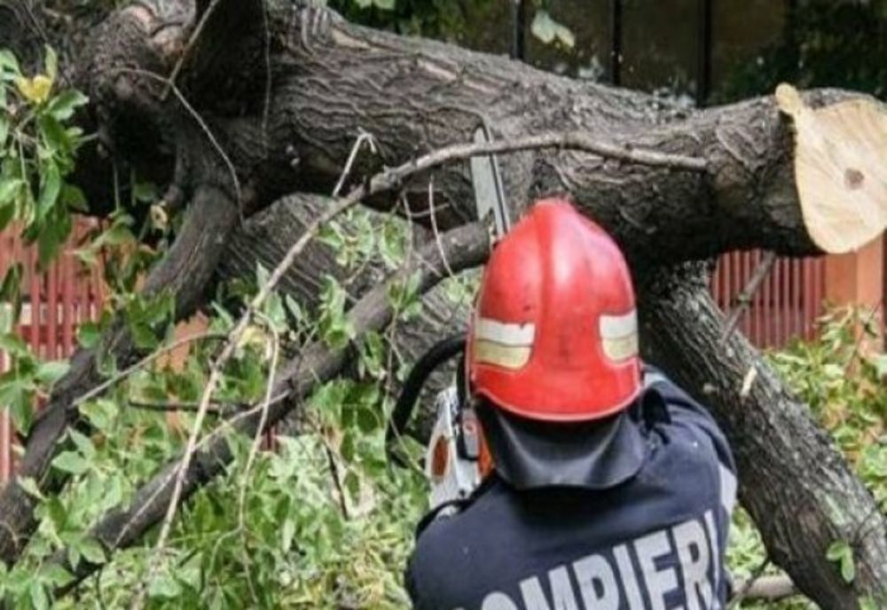 Vântul face prăpăd în județul Constanța