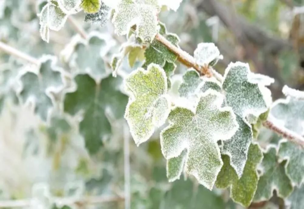 Temperaturi tot mai scăzute dimineața, unde va fi cel mai frig
