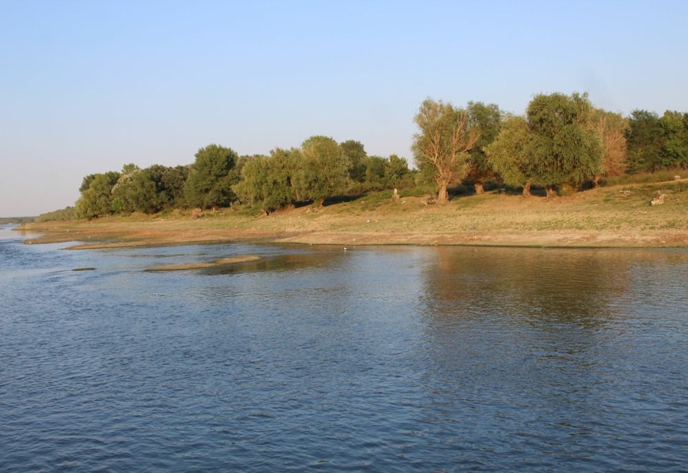 Anchetă uriașă în Caraș Severin. 3 polițiști, acuzați de tentativă de crimă în stil mafiot. Au vrut să înece un bărbat în Dunăre