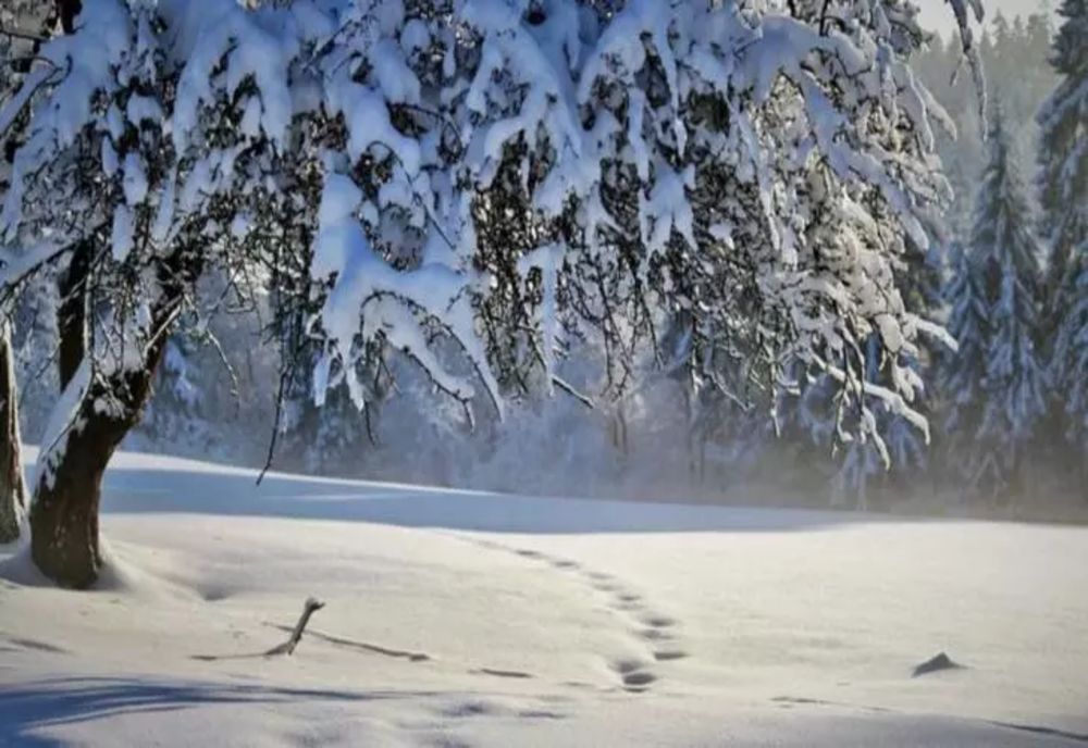 Vremea se schimbă. Va ninge în mai multe zone ale țării