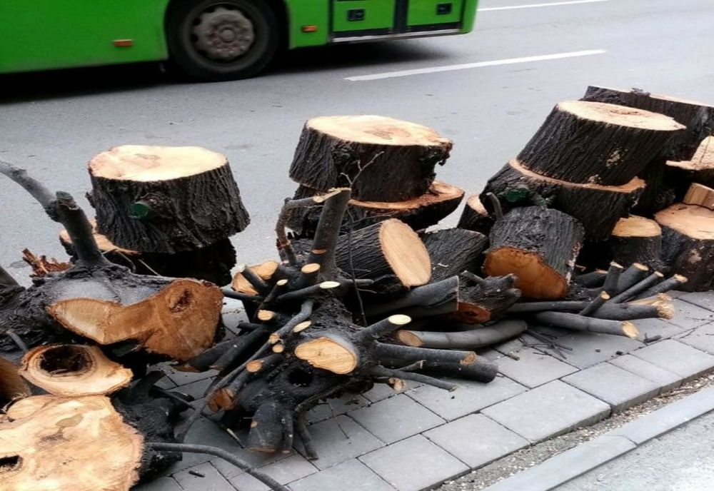 Primăria Constanța amendată drastic de Garda de Mediu