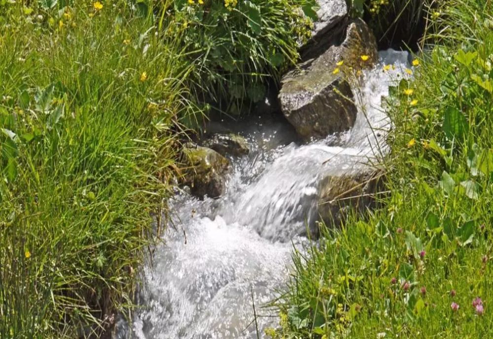 Scandal uriaș: UDMR, acuzat de monopol pe apele termale. Conform unui proiect de lege, banii ar merge direct la partid