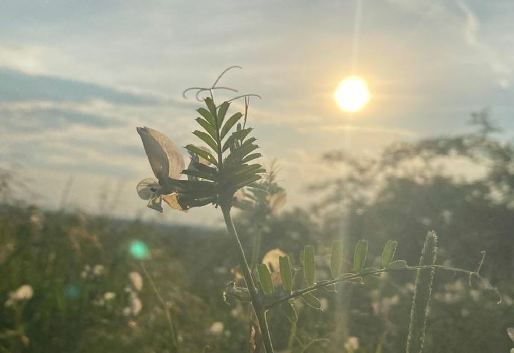 Vreme în general instabilă astăzi. Unde se întâmplă