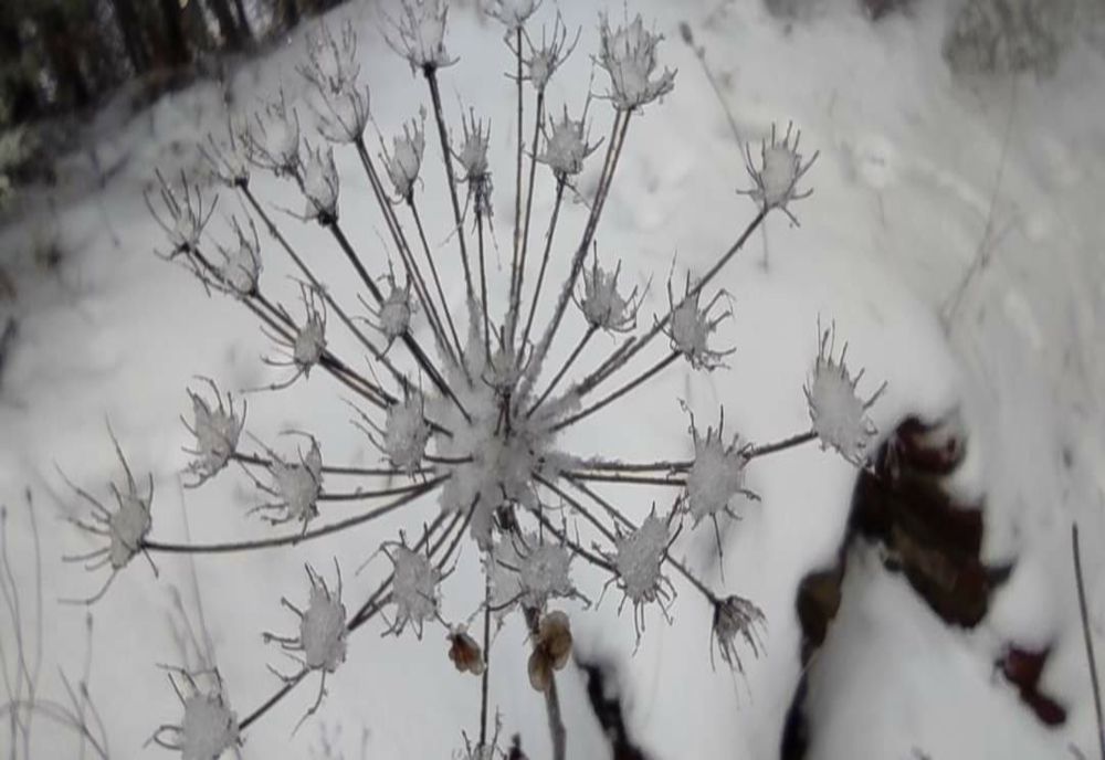 Furtuna Isha lovește și România. Avertizare de gheață neagră