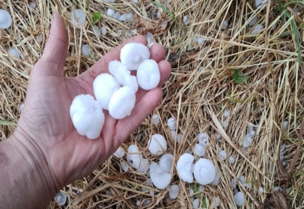 FURTUNĂ VIOLENTĂ ÎN CONSTANȚA: GRINDINĂ CÂT OUĂLE DE PREPELIȚĂ A LOVIT LOCALITĂȚILE LIPNIȚA ȘI BĂNEASA