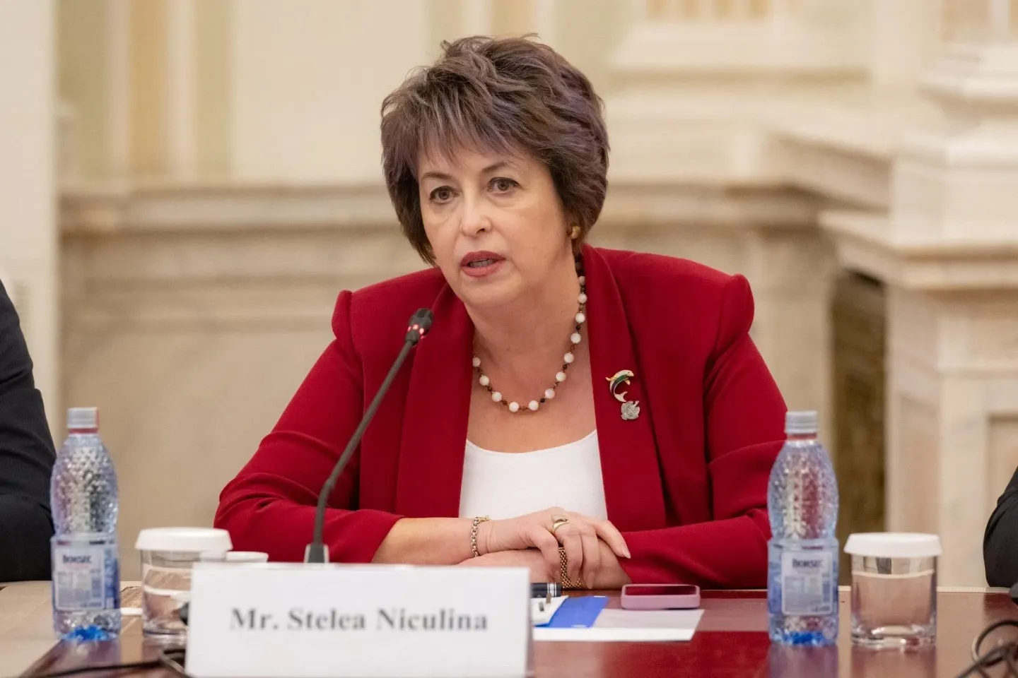 Niculina Stelea (senator AUR): „4 motive pentru care păstrarea ratingului de țară nu este o reușită pentru Guvernul Bolojan”