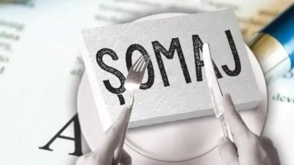 Șomaj România