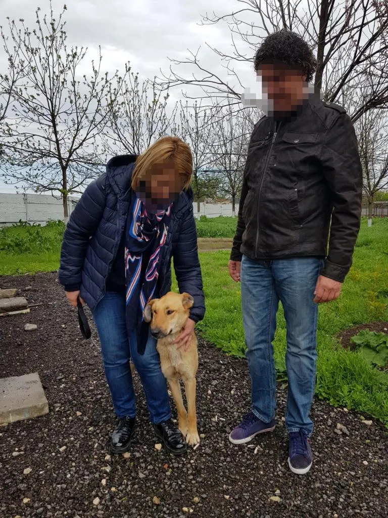 adoptii catei (3)