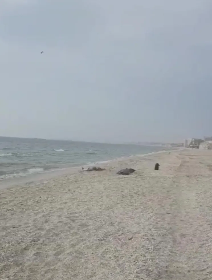plaja