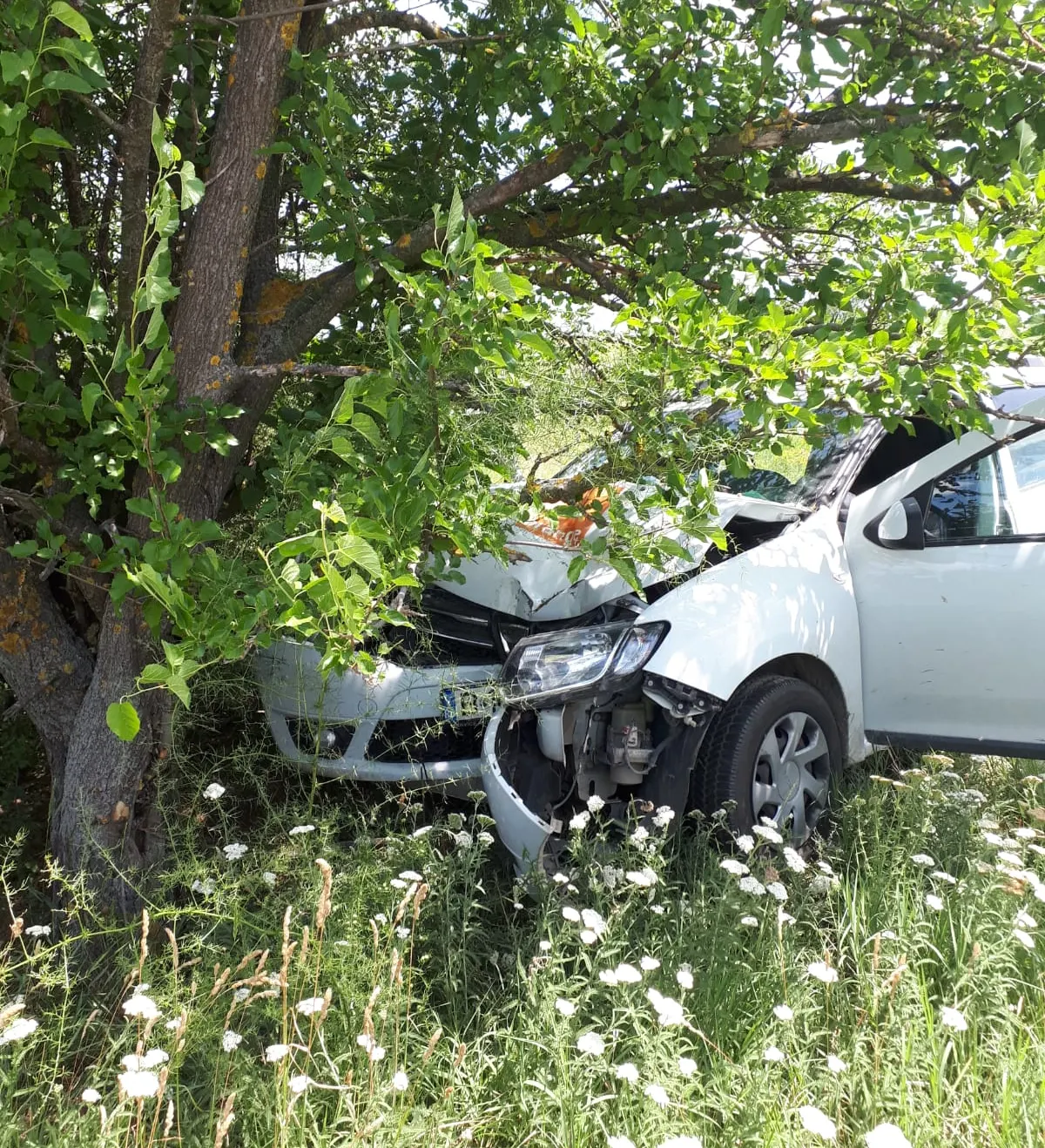 accident2