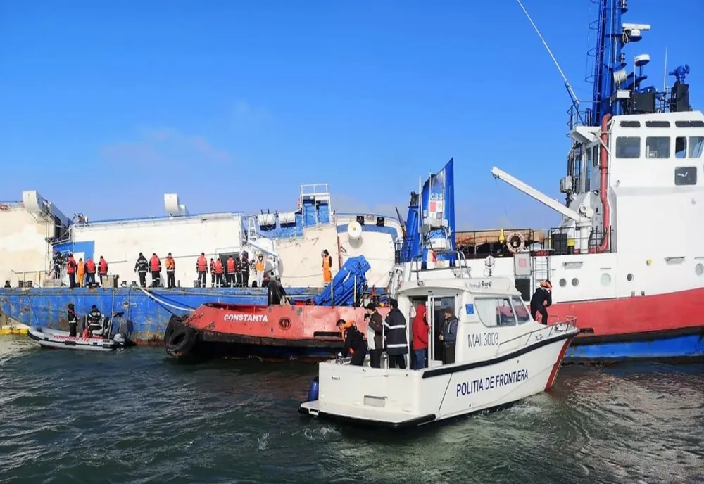 Transport de animale reținut în portul Midia