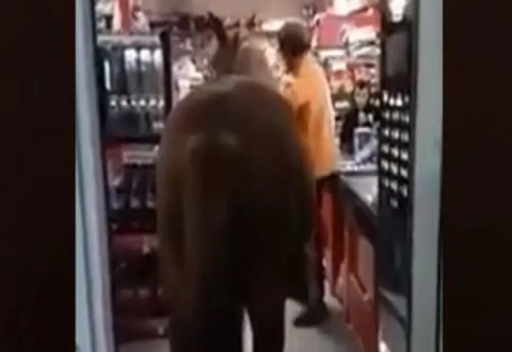 VIDEO | Ca să nu lase animalul singur afară, un bărbat din Buzău a intrat cu calul în supermarket