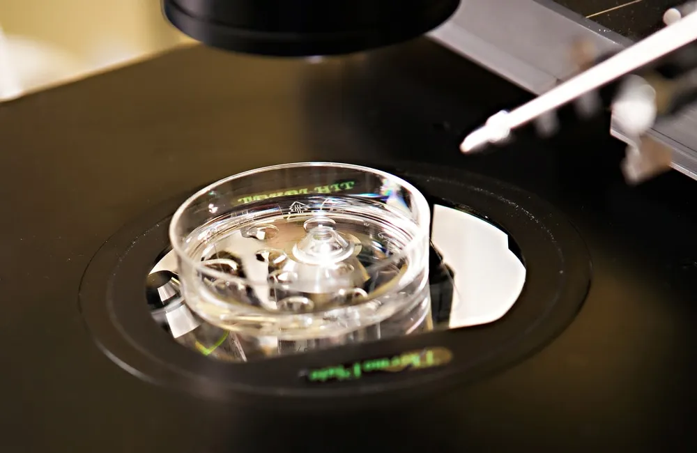 in vitro