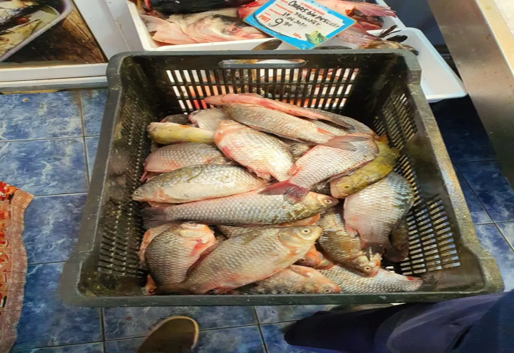 FOTO| Razii ale polițiștilor la comercianții de pește. Peste 110 kg au fost confiscate
