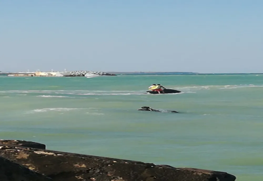 FOTO VIDEO| Un tânăr a dispărut în mare, la Neptun