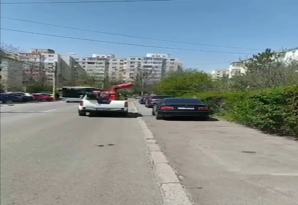 Începe dezinsecșia în municipiul Constanța