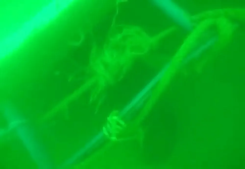 VIDEO| Imagini cu pescadorul scufundat în Marea Neagră