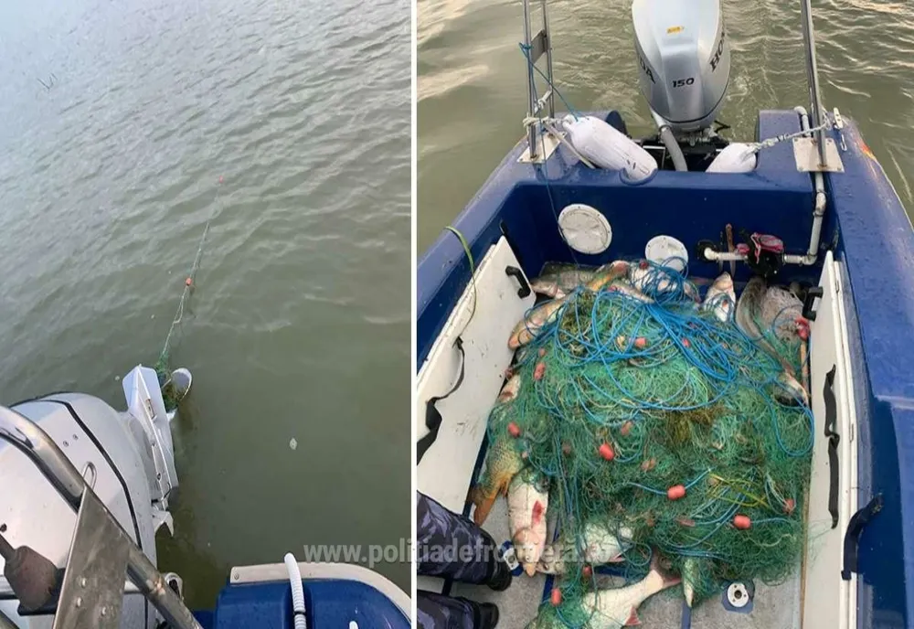 Braconaj piscicol în Rezervația Biosferei Delta Dunării