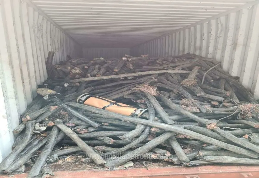 Container cu 23 tone de deșeuri, oprit în Portul Constanța Sud Agigea