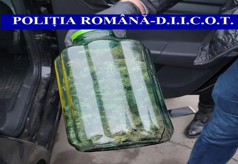 FOTO Percheziții în Tulcea și Teleorman. Trei persoane arestate pentru trafic de droguri