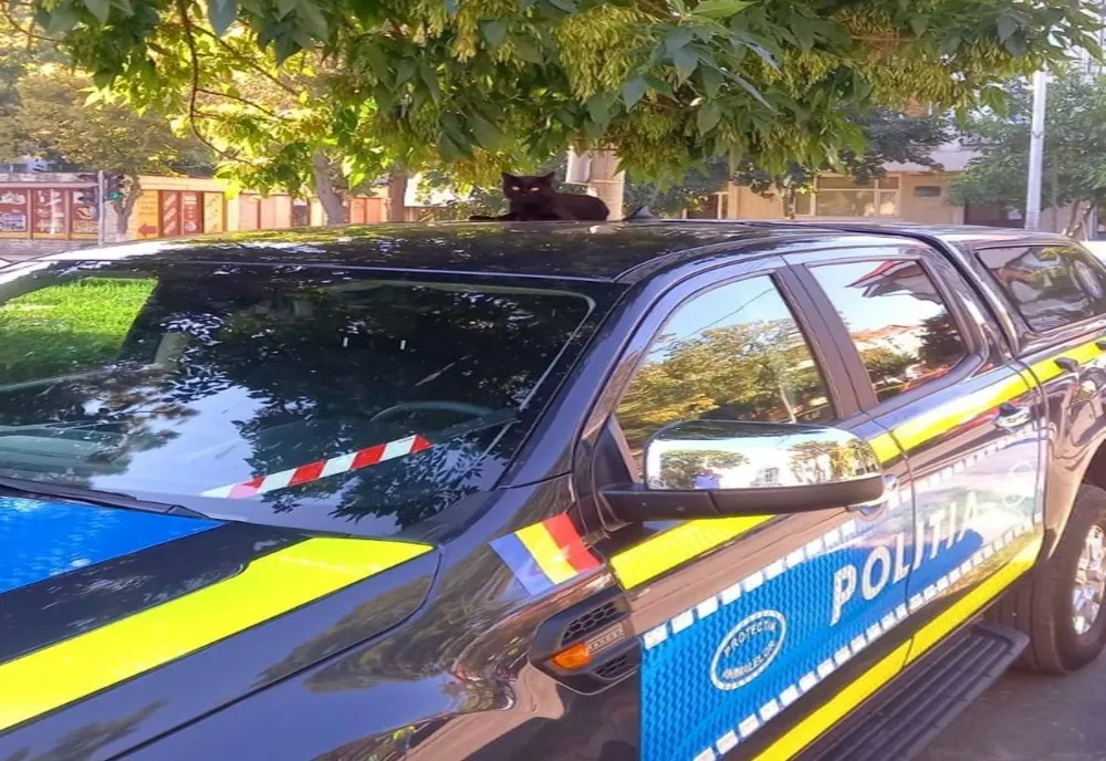 Zi cu ghinion pentru un bărbat din Tuzla. De ce s- a ales cu dosar penal
