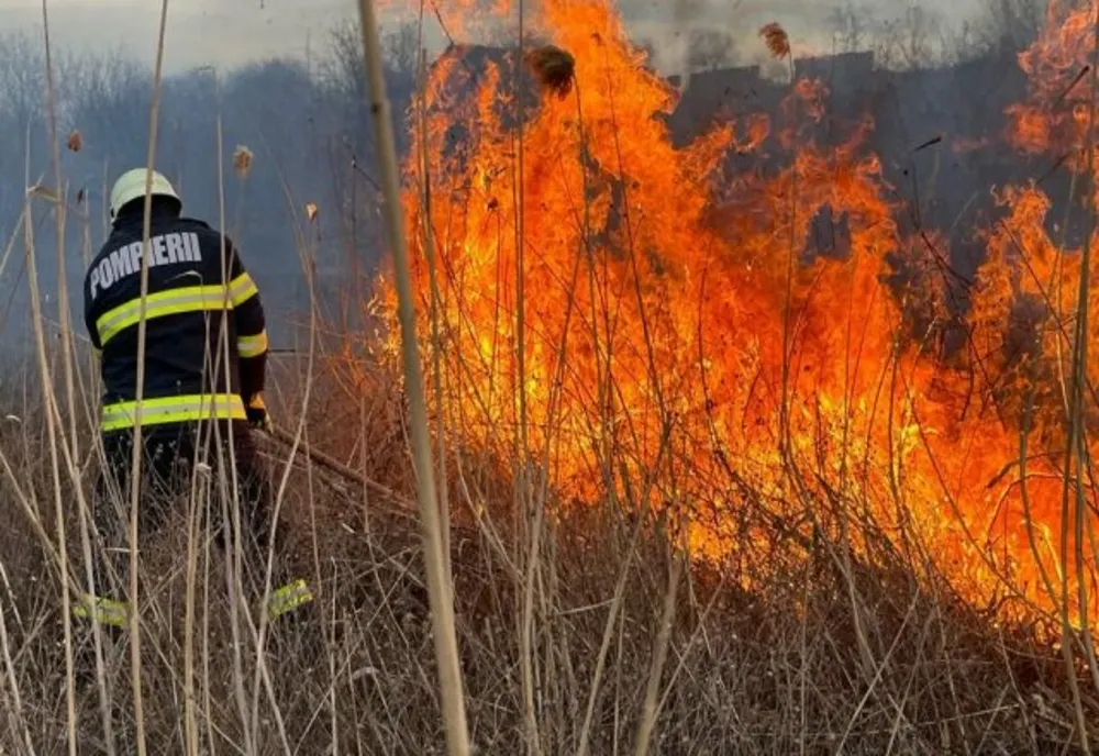 Incendiu violent de vegetație uscată la Hârșova
