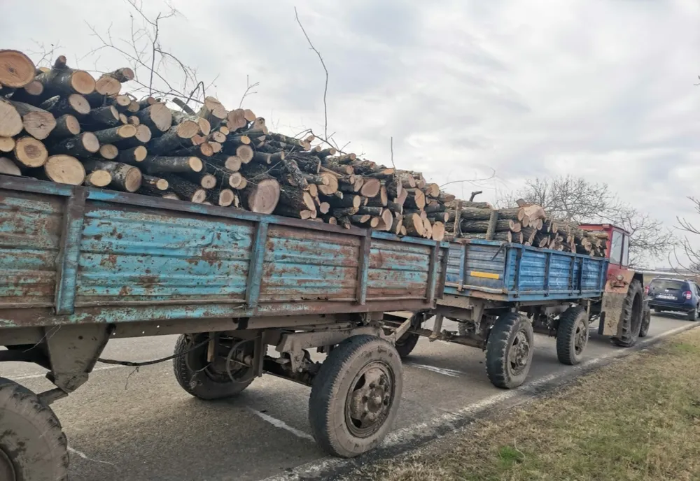 Prins de jandarmi cu două remorci de lemne fără acte