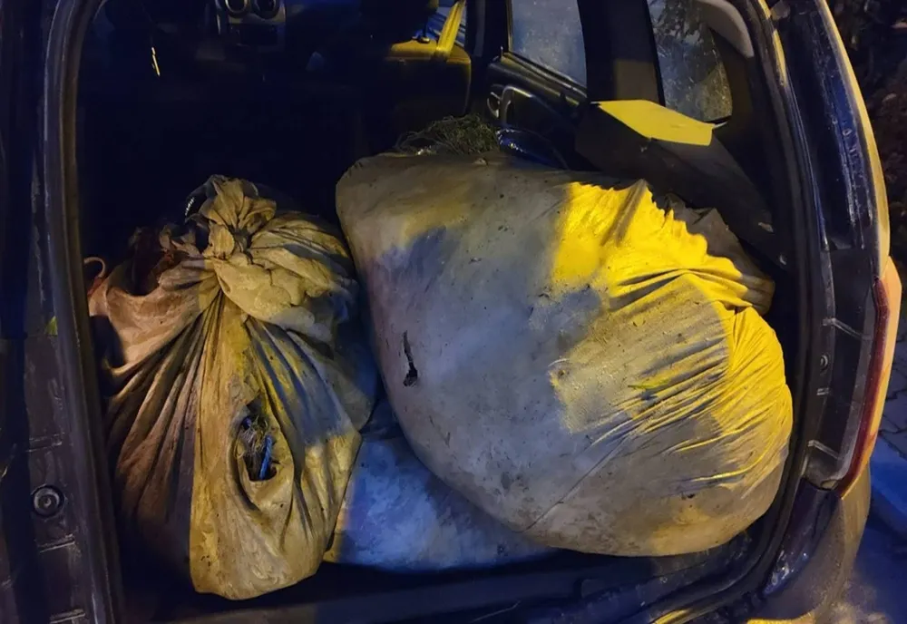 FOTO Braconaj în prohibiție - 170 kilograme de pește descoperite de polițiștii de frontieră