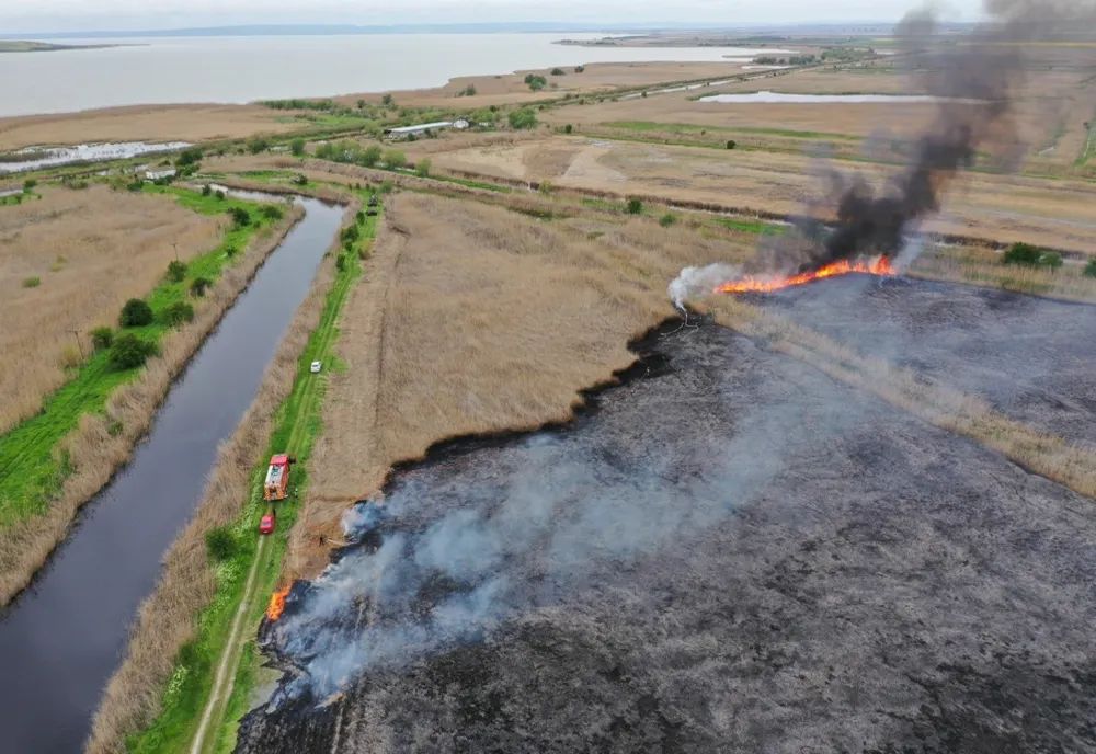 VIDEO Incendiu violent în județul Tulcea. Zeci de hectare de stuf în flăcări