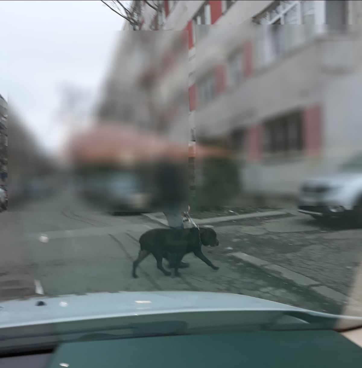 WhatsApp Image 2019-02-07 at 11.17.55