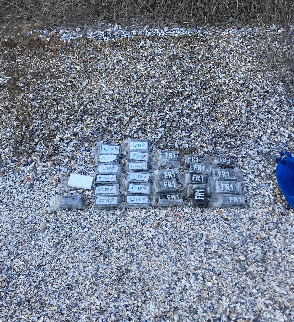 WhatsApp Image 2019-04-06 at 12.32.42