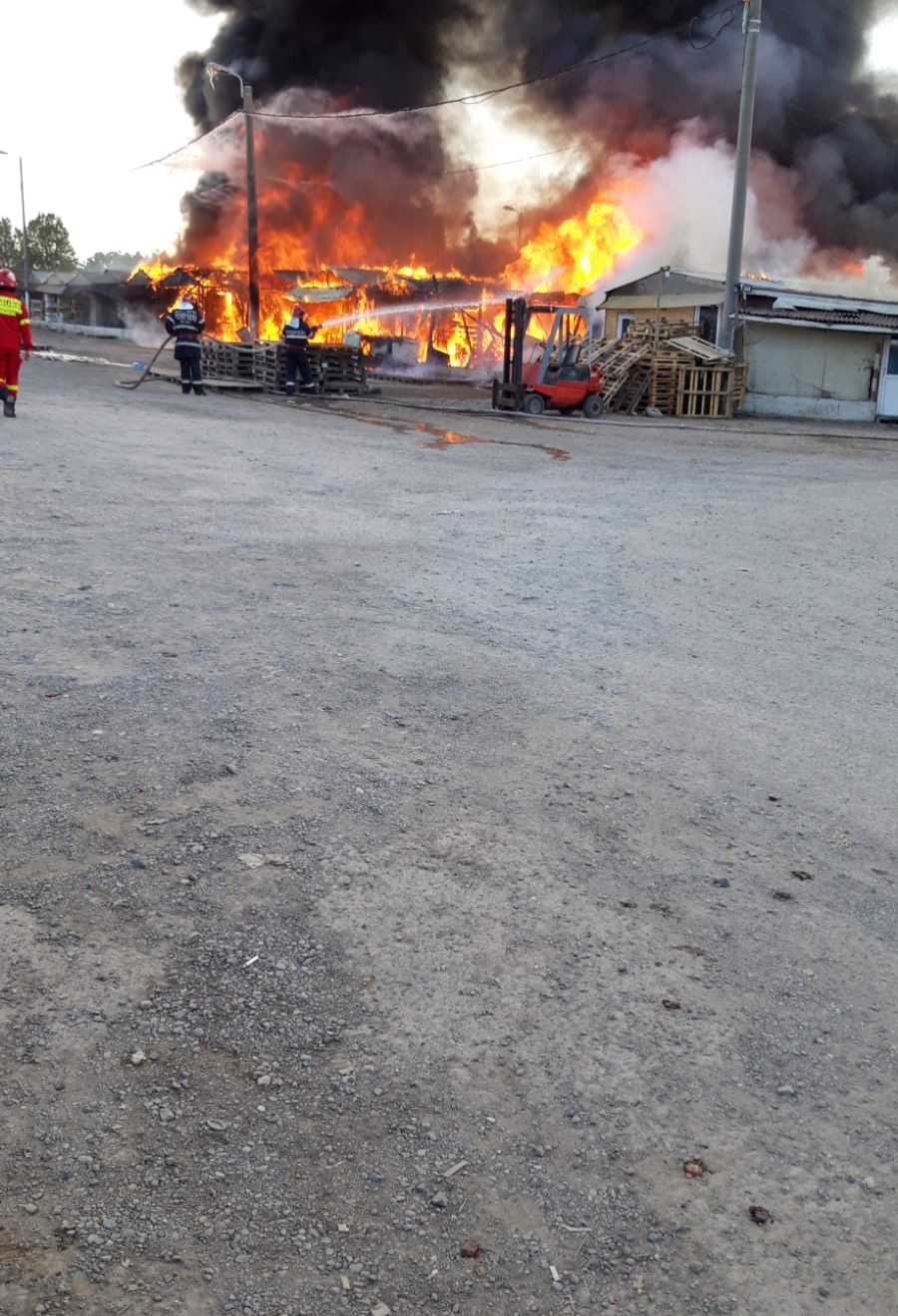 WhatsApp Image 2019-05-31 at 18.22.34