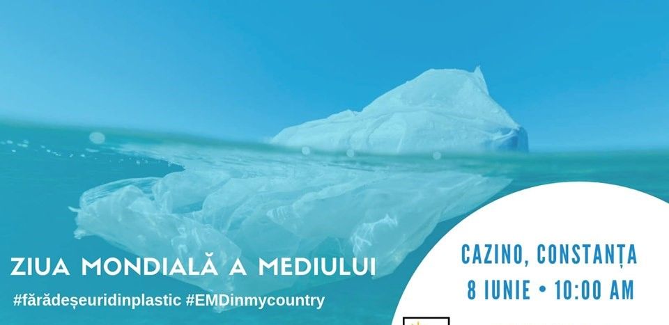 62115049_2765116796850836_5480776975805054976_n