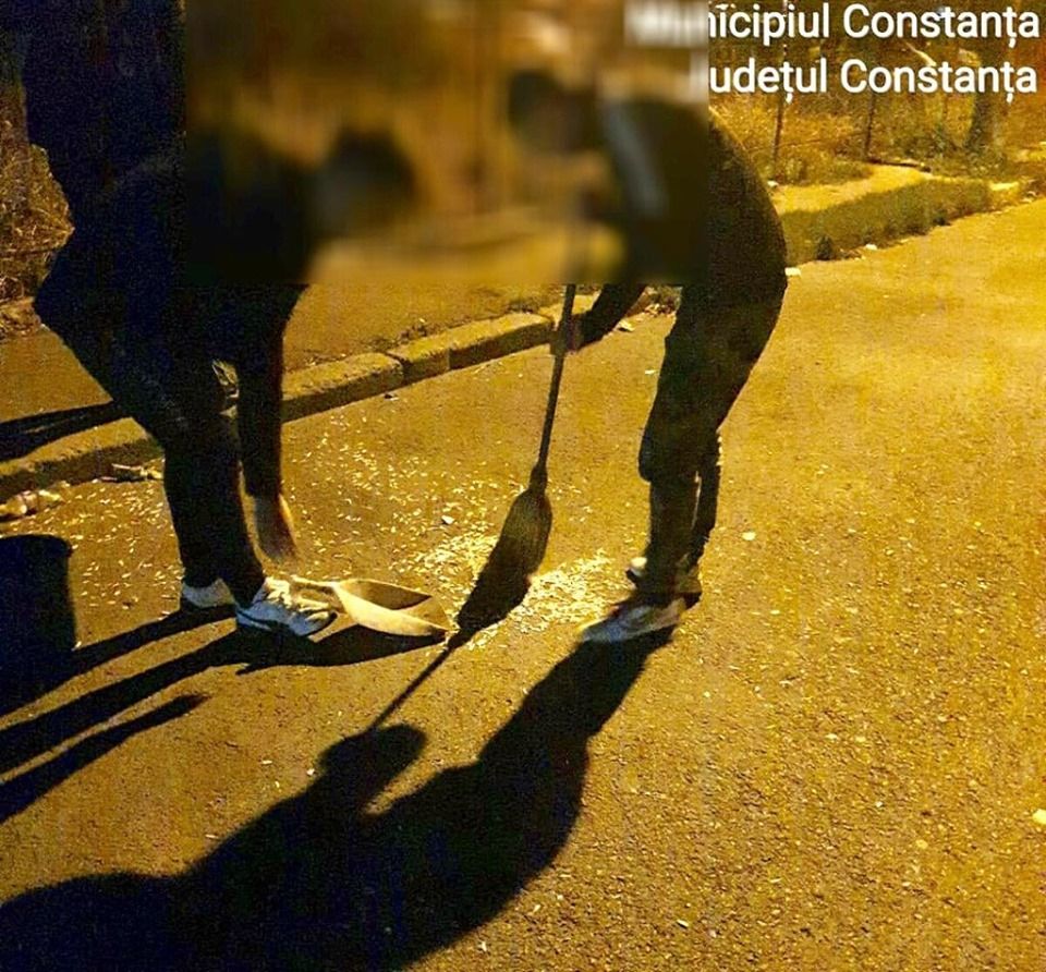 71269119_2993944793968034_2640991049761161216_n