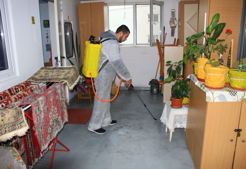 Acțiune de îndepărtare a dăunătorilor în cartierul Henri Coandă