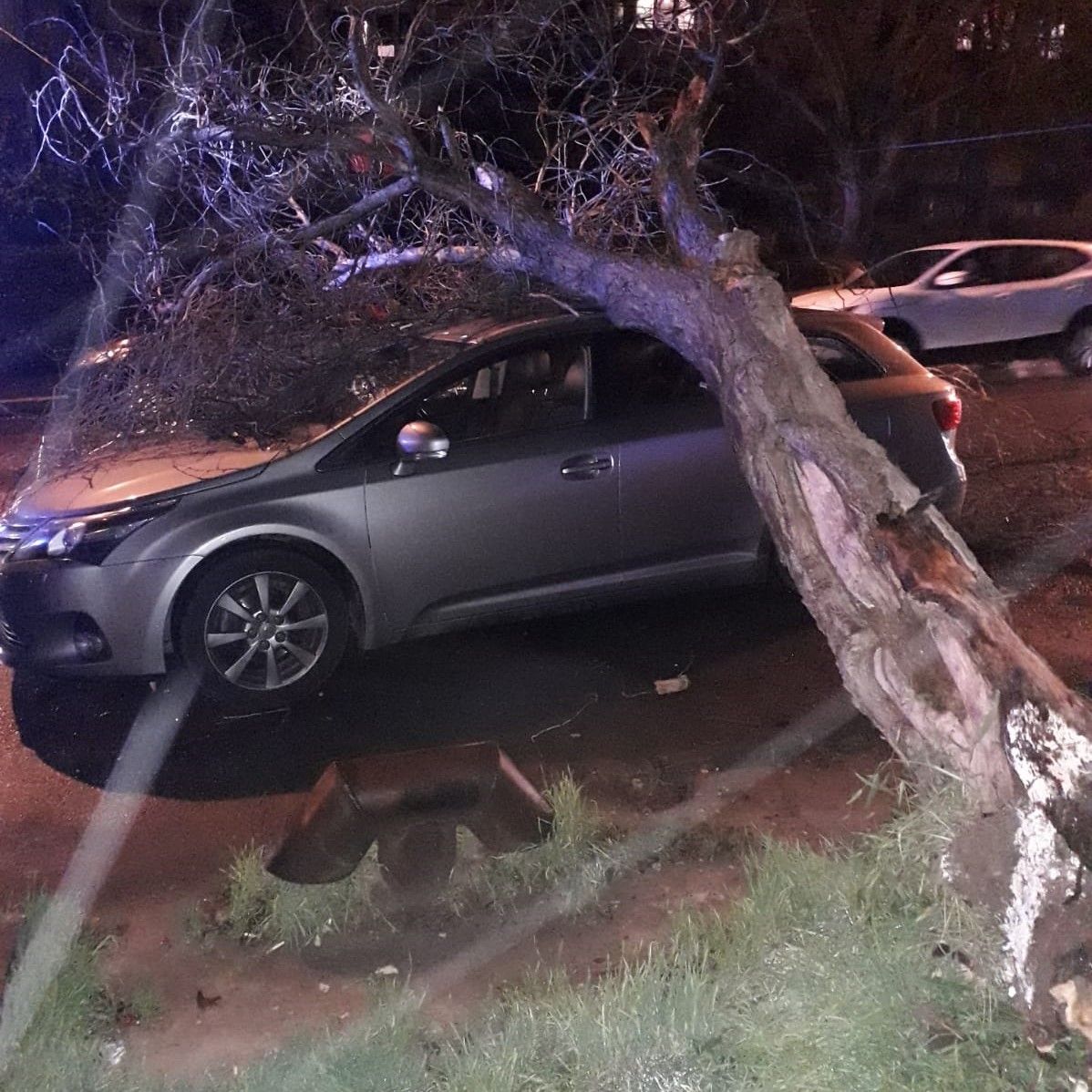 WhatsApp Image 2019-11-21 at 19.33.08