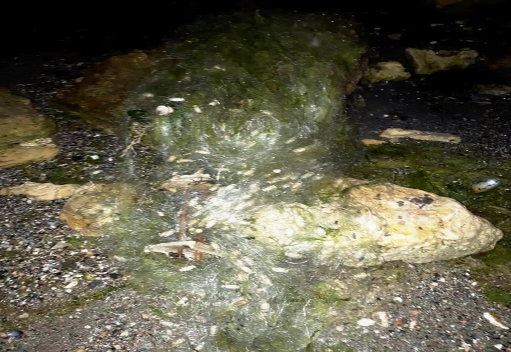 Prinși noaptea la pescuit cu unelte interzise