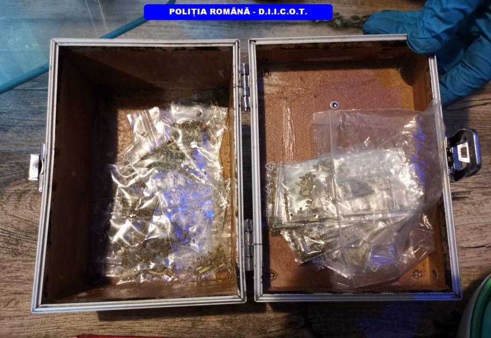 Percheziții la Constanța. Persoane arestate pentru trafic cu substanțe psihoactive